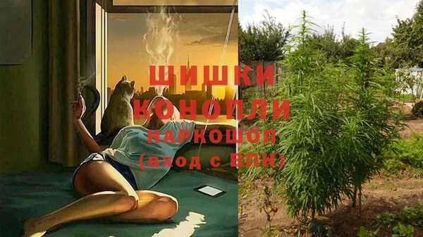 первитин Нея