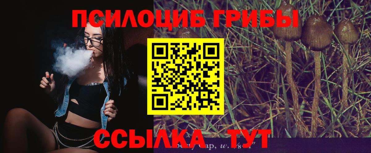 Меф Куйбышев